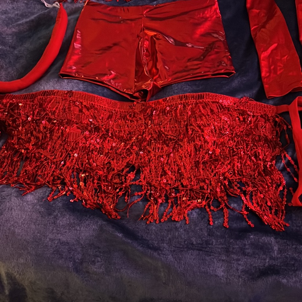 Sexy Devil Costume With Accessories - image 5